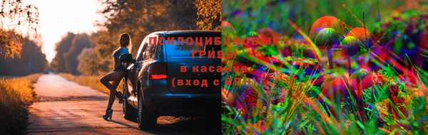 стафф Балабаново