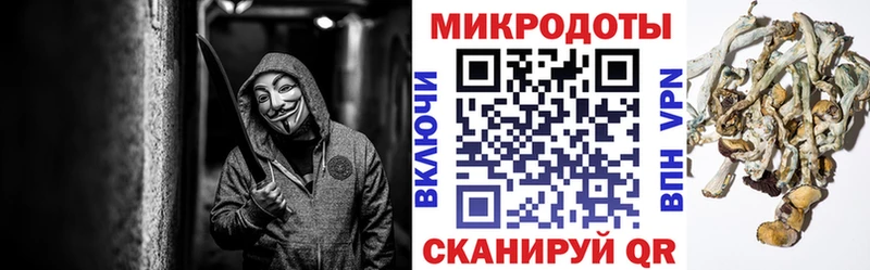 Псилоцибиновые грибы Cubensis блэк спрут tor Конаково